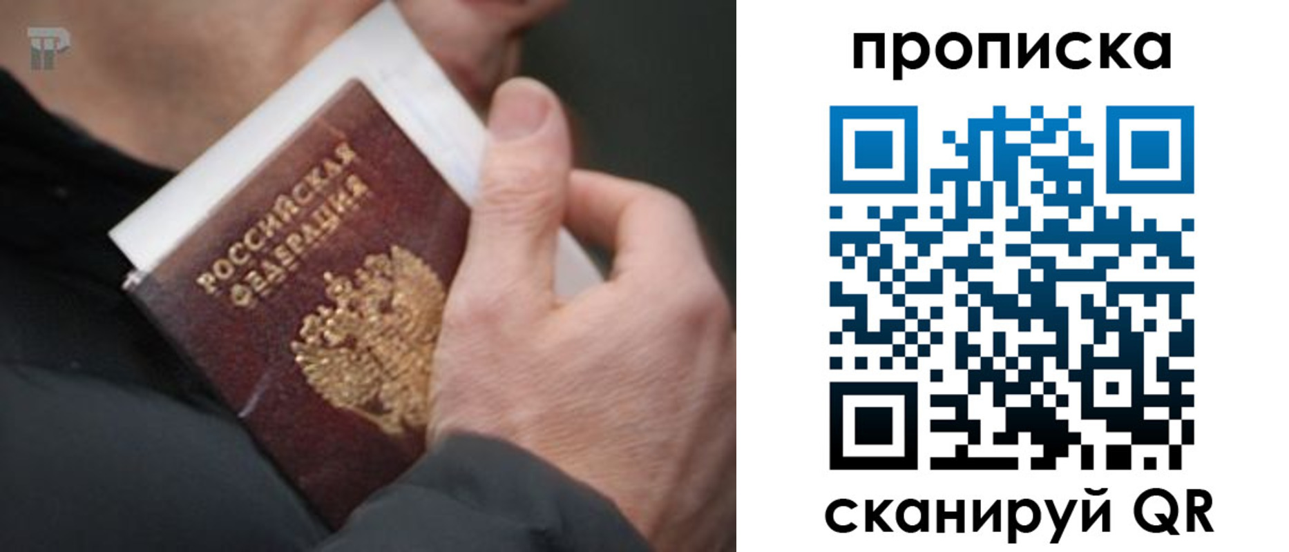 временная регистрация гарантия в Курганской области